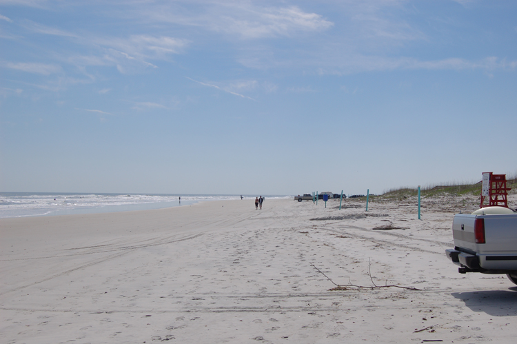 06-02-28, 02, Beach, New Smyrna Beach, Fl