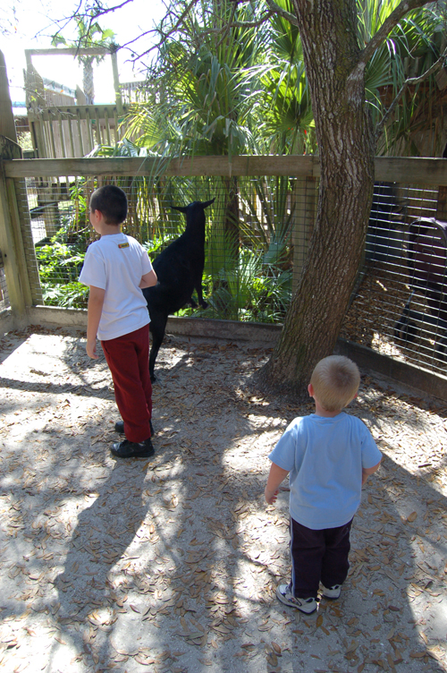 06-03-01, 05, Connor, Mikey,  Brevard Zoo, Fl