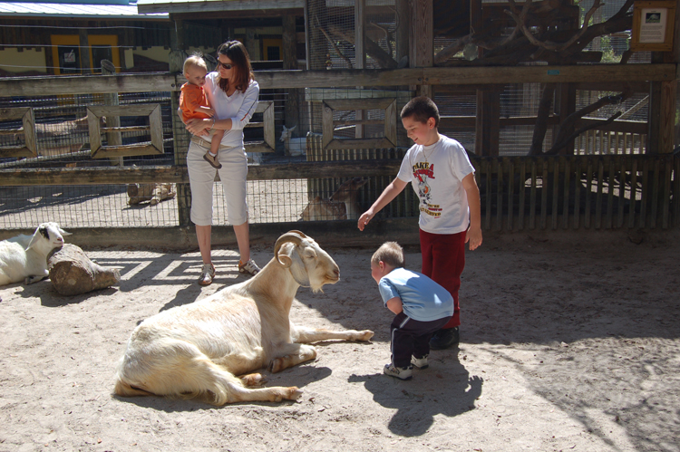 06-03-01, 08, Connor, Mikey, Brevard Zoo, Fl