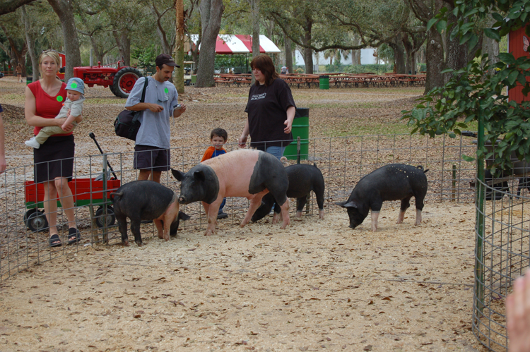 06-03-02, 14, Pig Pen, Green Meadows, Fl