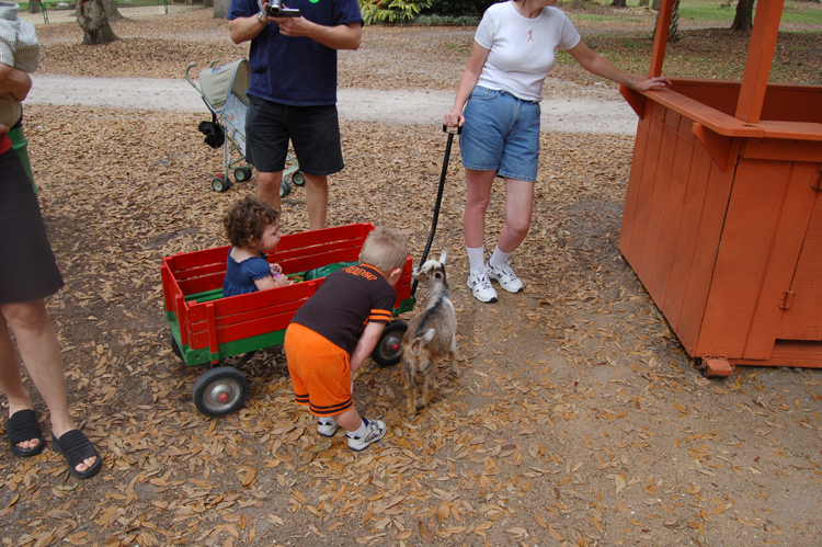 06-03-02, 21, Connor & Kaitlyn with Goat, Green Meadows, Fl