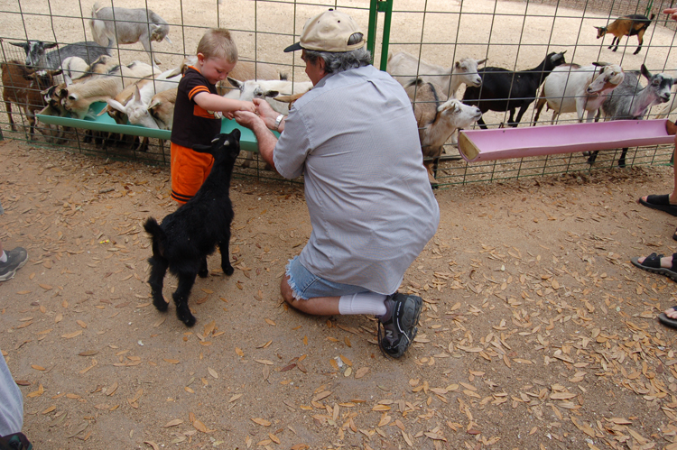 06-03-02, 26, Connor & Gerry with Goats, Green Meadows, Fl