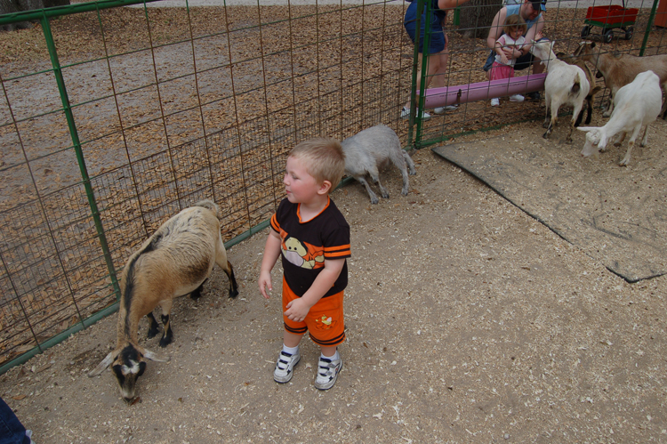 06-03-02, 27, Connor with Goats, Green Meadows, Fl