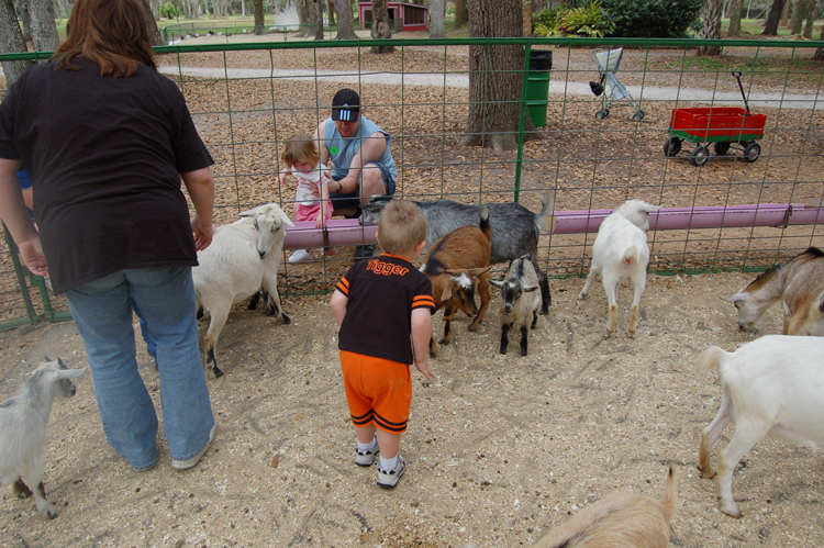 06-03-02, 28, Connor with Goats, Green Meadows, Fl