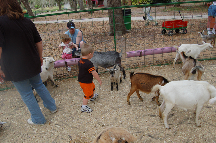 06-03-02, 29, Connor with Goats, Green Meadows, Fl