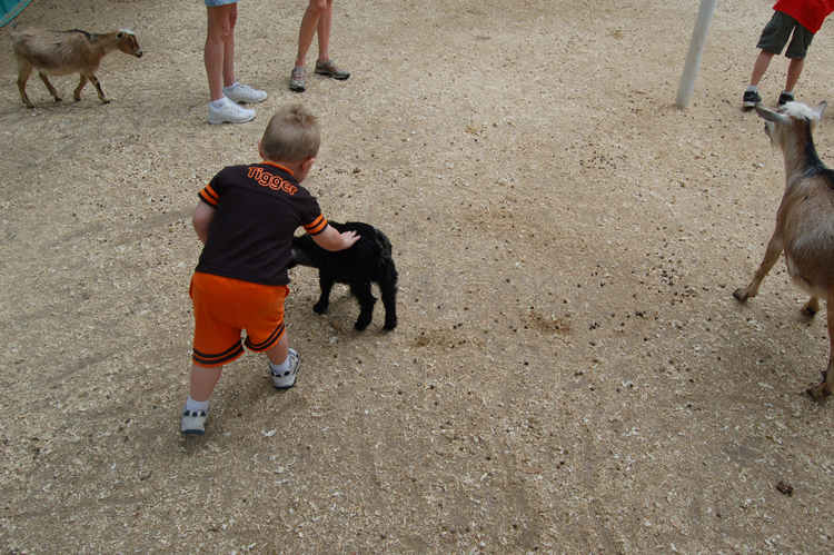 06-03-02, 32, Connor with Goat, Green Meadows, Fl