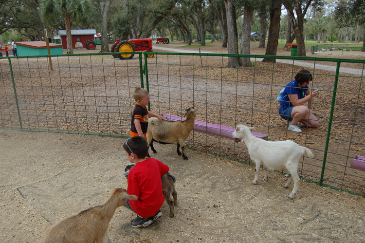 06-03-02, 35, Connor with Goats, Green Meadows, Fl