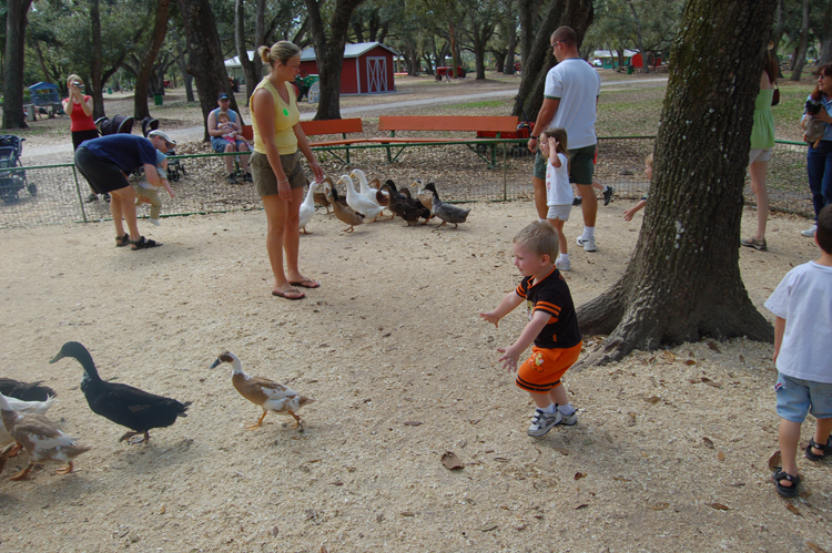 06-03-02, 43, Connor chasing Ducks, Green Meadows, Fl