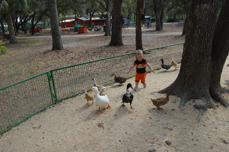 06-03-02, 44, Connor chasing Ducks, Green Meadows, Fl