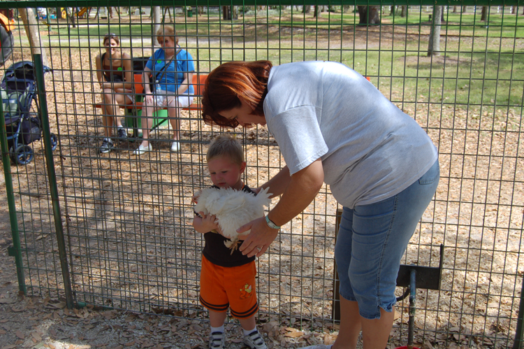 06-03-02, 60, Connor holding Chicken, Green Meadows, Fl