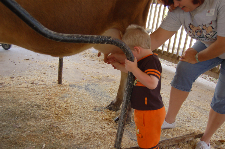 06-03-02, 69, Connor milking a cow, Green Meadows, Fl