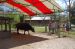 06-03-02, 70, Water Buffalo, Green Meadows, Fl