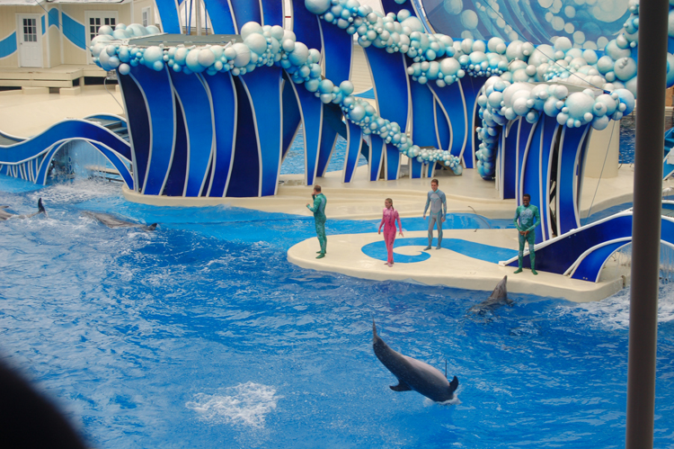 06-06-18, 186, SeaWorld, Fla
