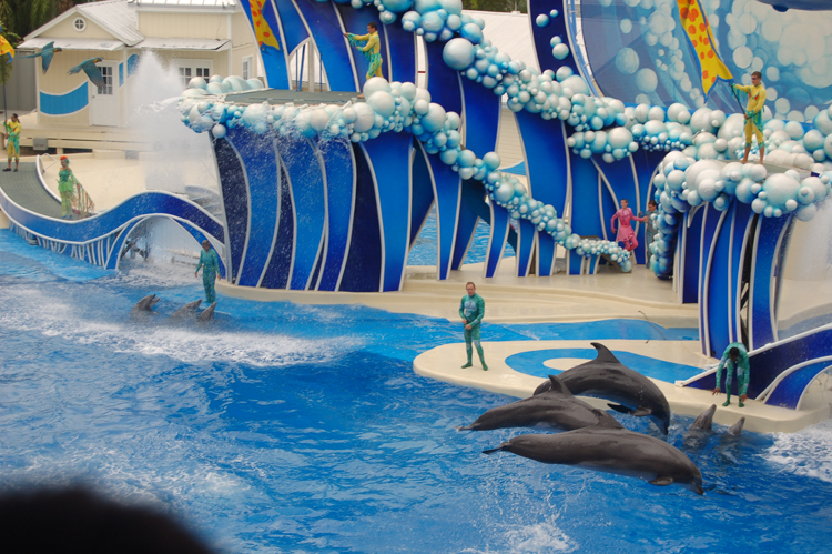 06-06-18, 198, SeaWorld, Fla