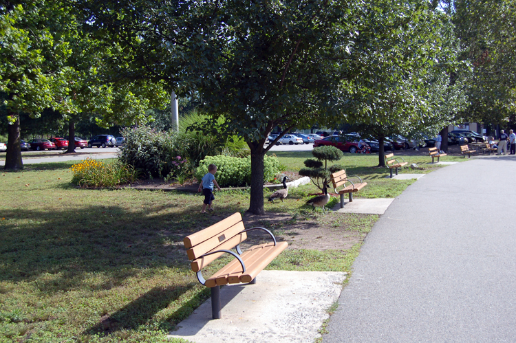 06-08-11, 009, Connor chasing Geese in Saddle Brook Park