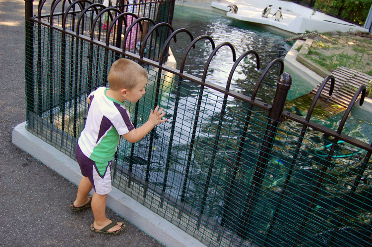 06-08-12, 007, Connor at Turtle Back Zoo