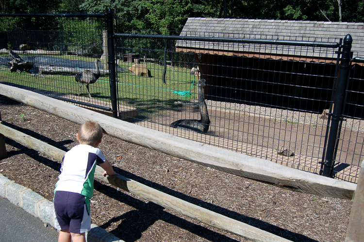 06-08-12, 009, Connor at Turtle Back Zoo