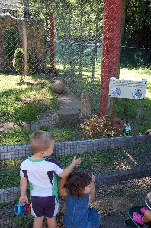 06-08-12, 014, Connor and Kaitlyn at Turtle Back Zoo