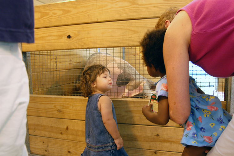 06-08-12, 018, Kaitlyn at Turtle Back Zoo