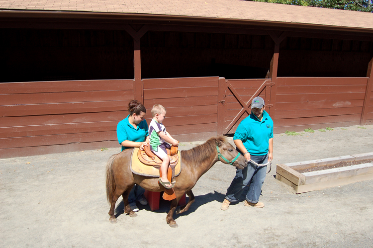 06-08-12, 020, Connor at Turtle Back Zoo