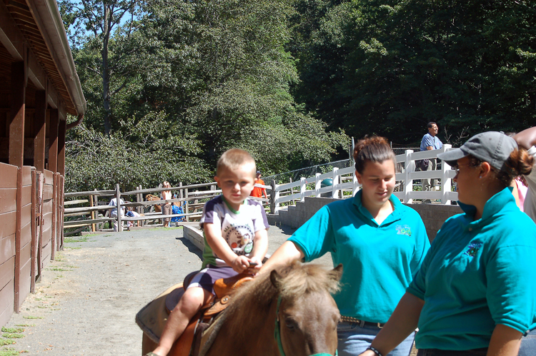 06-08-12, 022, Connor at Turtle Back Zoo