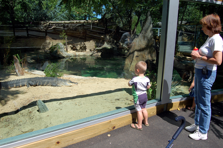 06-08-12, 023, Connor and Linda at Turtle Back Zoo