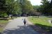 06-08-11, 008, Connor chasing Geese in Saddle Brook Park