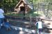 06-08-12, 010, Kaitlyn and Connor at Turtle Back Zoo