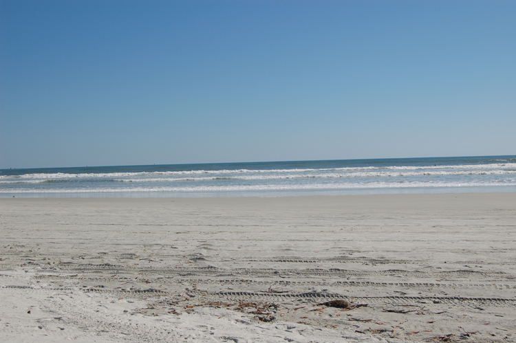 06-09-21, 003, New Smyrna Beach,  Fla