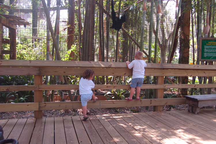 06-09-22, 019, Kaitlyn & Connor Fla