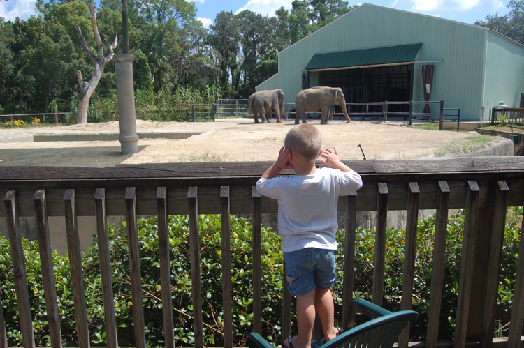 06-09-22, 022, Connor, Fla