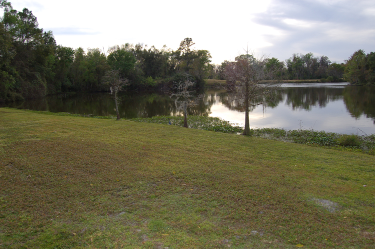 07-02-24, 072, The Pond, Winter Springs, FL