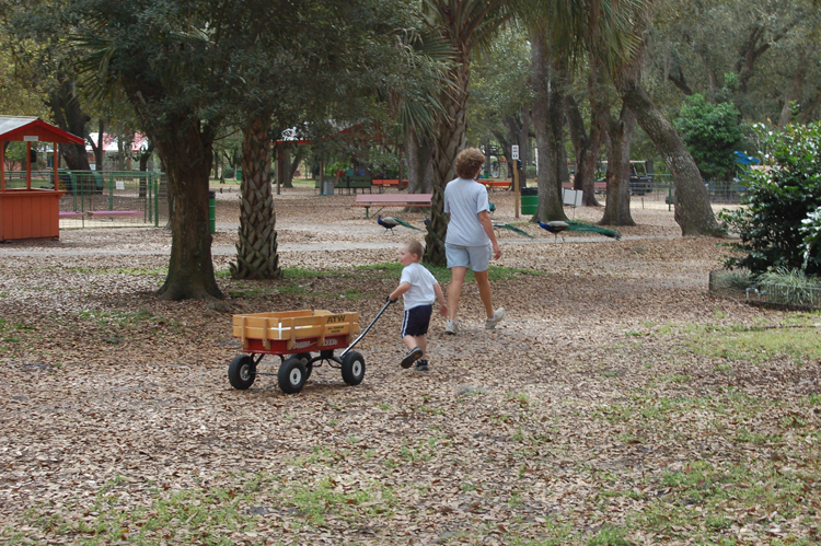 07-03-01, 015, Connor, Green Meadows, FL