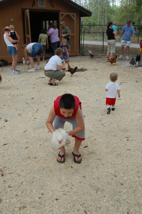 07-03-01, 047, Mikey, Green Meadows, FL