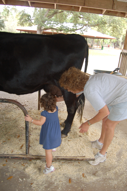 07-03-01, 061, Kaitlyn, Green Meadows, FL