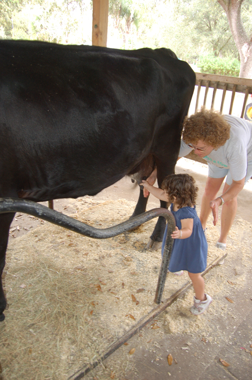 07-03-01, 062, Kaitlyn, Green Meadows, FL