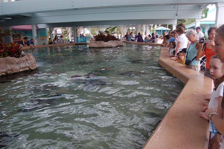 07-03-02, 008, Stingray Pool, Sea World, FL