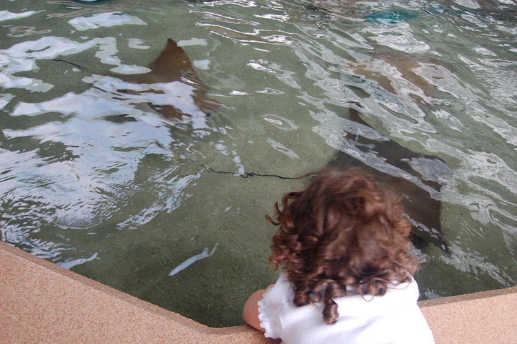 07-03-02, 010, Kaitlyn, Stingray Pool, Sea World, FL