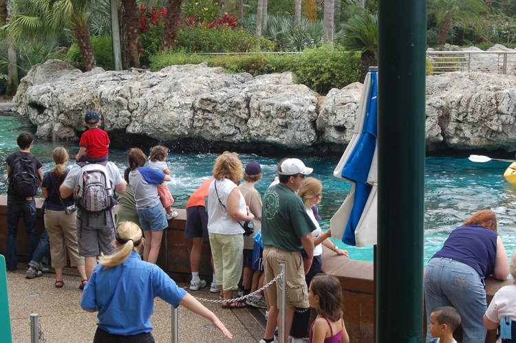 07-03-02, 016, Dolphin Cove, Sea World, FL