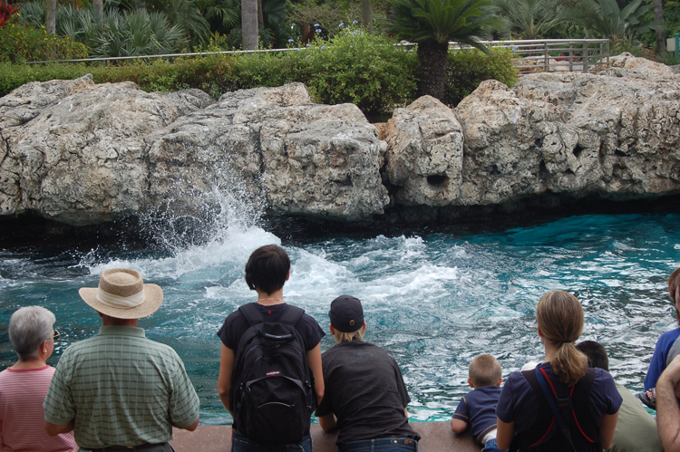 07-03-02, 017, Connor, Dolphin Cove, Sea World, FL