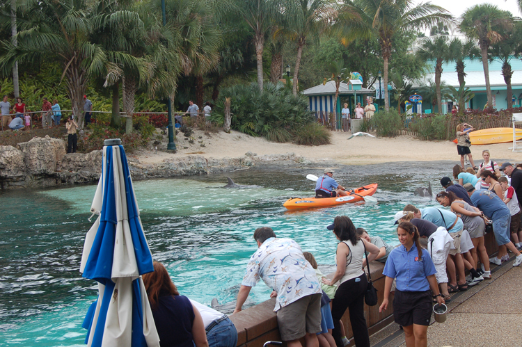 07-03-02, 020, Dolphin Cove, Sea World, FL