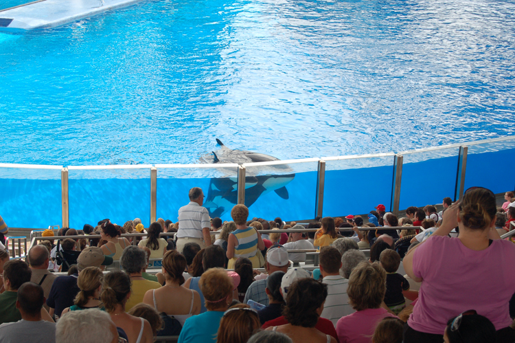 07-03-02, 123, Shamu 'Believe', Sea World, FL