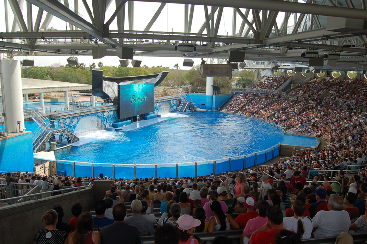 07-03-02, 124, Shamu 'Believe', Sea World, FL