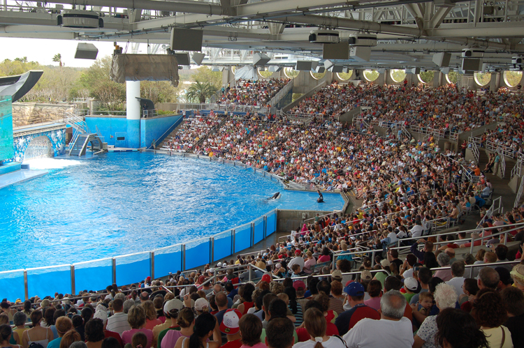 07-03-02, 126, Shamu 'Believe', Sea World, FL