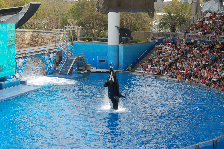 07-03-02, 128, Shamu 'Believe', Sea World, FL