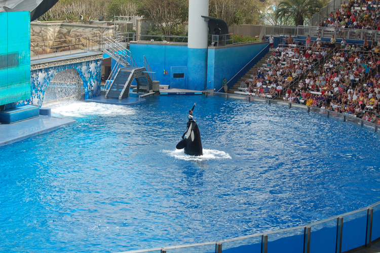 07-03-02, 129, Shamu 'Believe', Sea World, FL