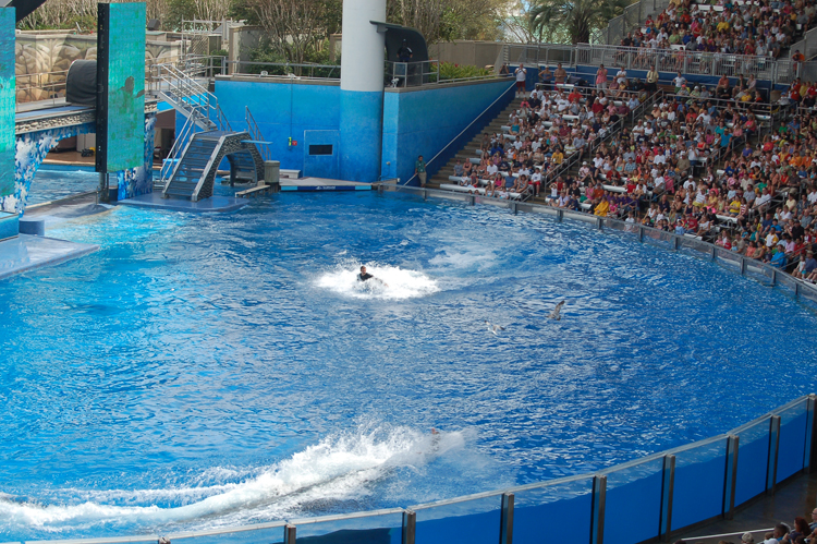 07-03-02, 131, Shamu 'Believe', Sea World, FL