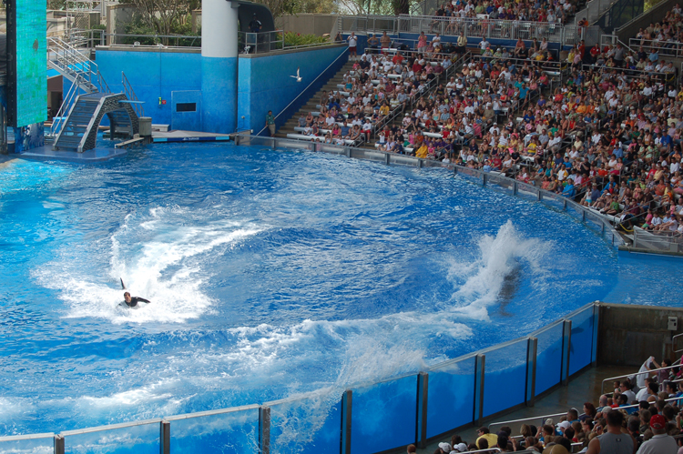 07-03-02, 132, Shamu 'Believe', Sea World, FL