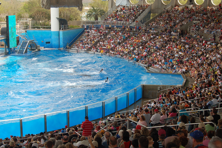 07-03-02, 134, Shamu 'Believe', Sea World, FL