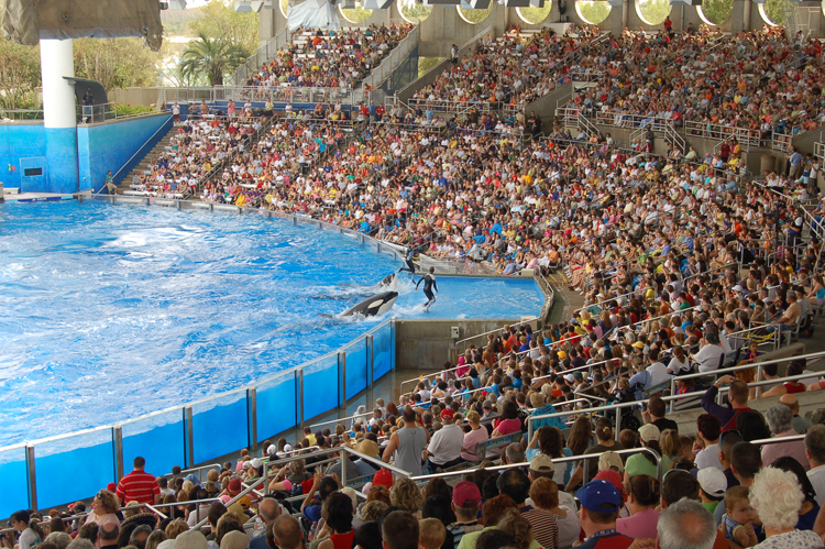 07-03-02, 135, Shamu 'Believe', Sea World, FL